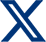 X Icon